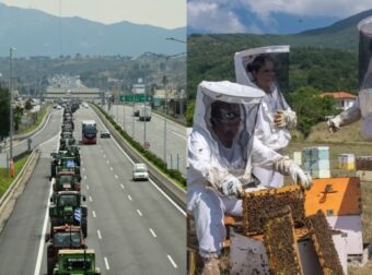 Έφυγαν οι αγρότες, έρχονται οι μελισσοκόμοι: Με κυψέλες θα γεμίσει σήμερα (22/2) το Σύνταγμα! (video)