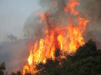 Αρκαδία: Μεγάλη φωτιά σε δασική έκταση – Επιχειρούν και εναέρια μέσα