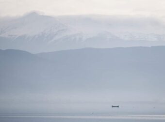 Σοκ στα Ιωάννινα: Σκυλιά επιτέθηκαν σε ηλικιωμένο – Έπεσε μέσα στη λίμνη