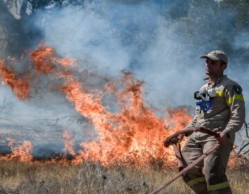 Μεγάλες διαστάσεις παίρνει η φωτιά στην Κερατέα: Ήχησε το «112» σε όλη την Αττική – Εκκενώθηκαν 4 οικισμοί, τιτάνιες προσπάθειες της Πυροσβεστικής