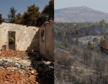 Στάχτη και μπούλμπερη έγιναν 2.000 στρέματα σε Σταμάτα και Πάρνηθα – Κάηκαν δέντρα, σπίτια και αυτοκίνητα