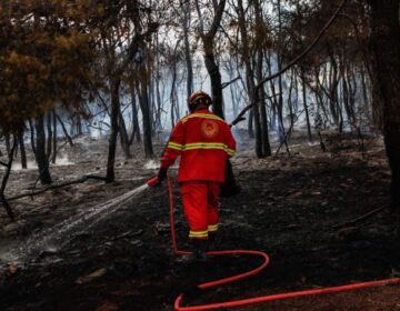 Συναγερμός στην Πυροσβεστική: Φωτιά στον Όλυμπο – Καίει σε δύσβατη περιοχή