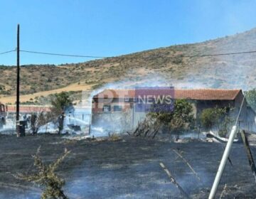 Συναγερμός για φωτιά στο Βιομηχανικό Πάρκο στην Καστοριά – Κάηκε ένας ορνιθώνας