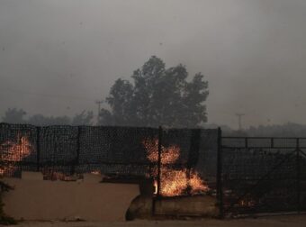 Φωτιά στην Αττική: Καίει στο Καπανδρίτι – Μεγάλη κινητοποίηση της Πυροσβεστικής